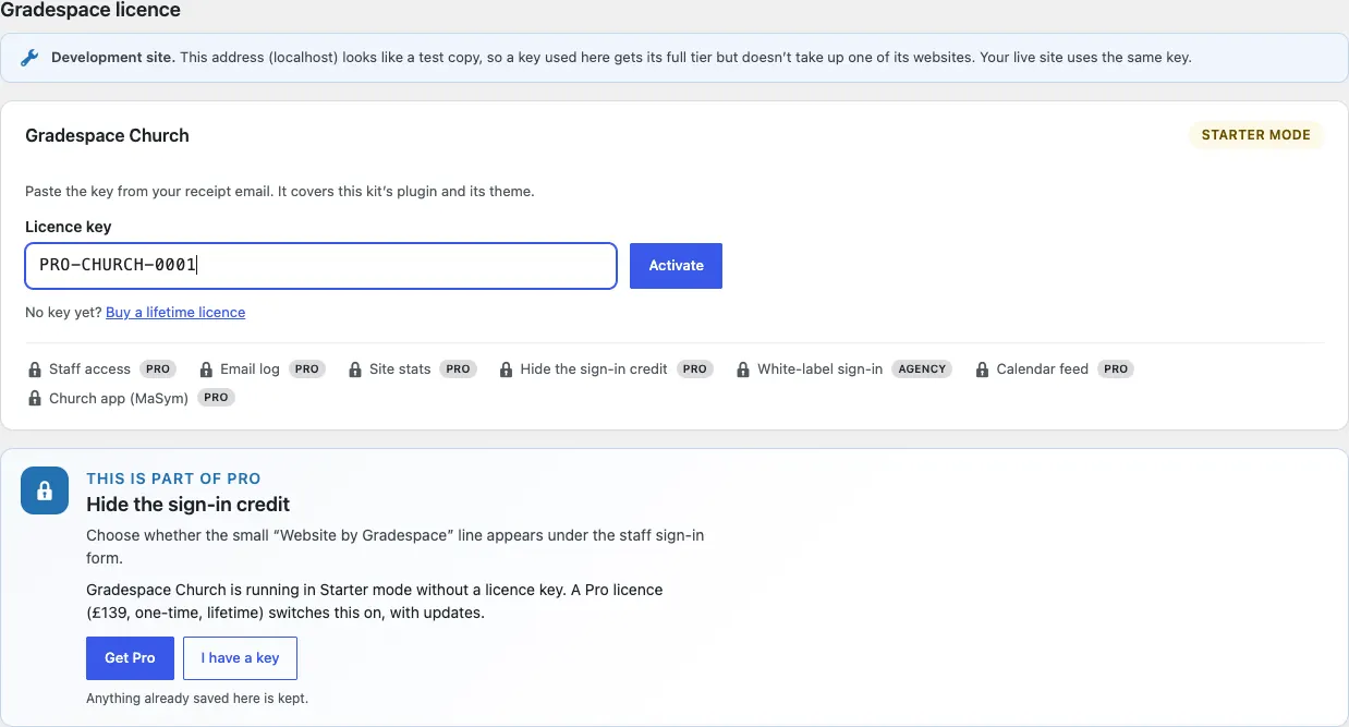 A sample licence key pasted into the Licence key box, ready to click Activate