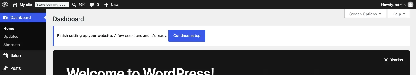 The WordPress Dashboard with a blue reminder at the top: "Finish setting up your website. A few questions and it's ready." and a Continue setup button
