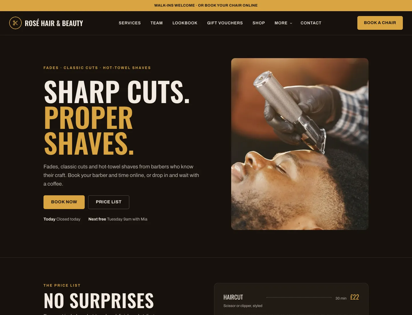 Gradespace Salon home page in the Barbershop design